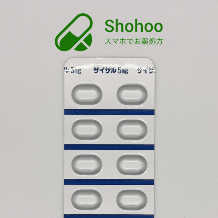 （抗アレルギー剤）ザイザル錠5mg ＜1ヶ月30錠＞