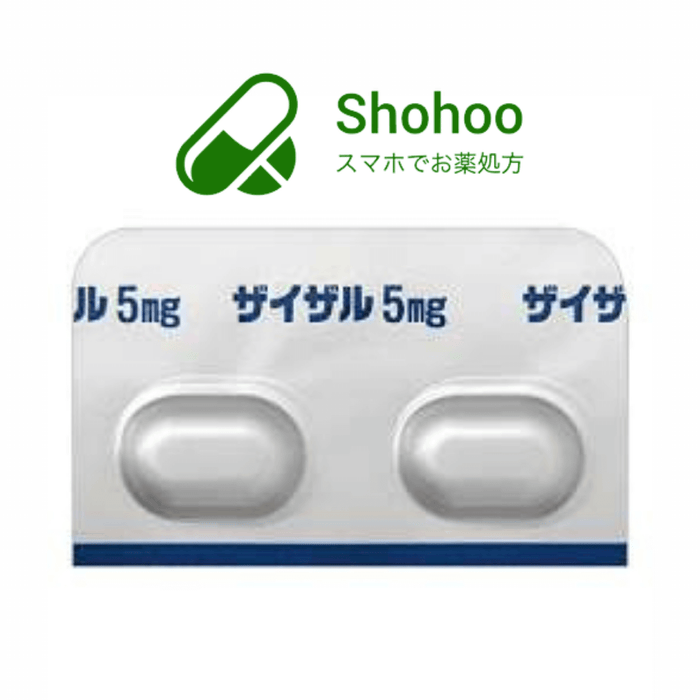 （抗アレルギー剤）ザイザル錠5mg ＜1ヶ月30錠＞